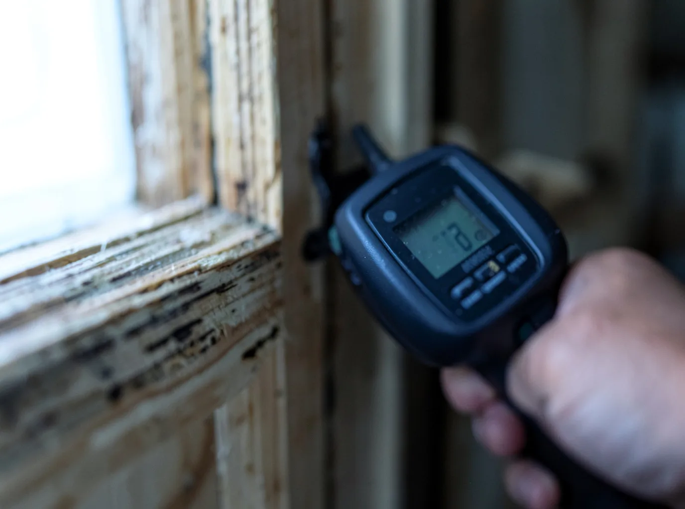 Commercial Water Damage Restoration in Chromo, CO
